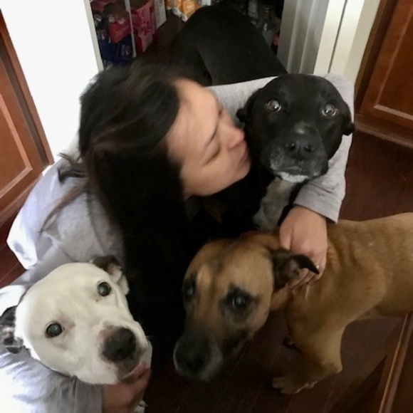 Meet your Posher, Cat - Picture 6 of 7